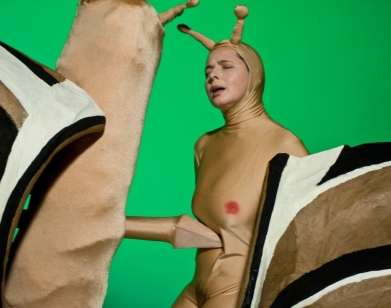 Entertainer Brings Her Love Of Animals To The Stage This Month At Brooklyn Academy Of Music Bam Adapted From The Lauded Sundance Series Green Porno Entertainer Brings Her Love Of Animals To The Stage This Month At Brooklyn Academy Of Music Bam Adapted From The Lauded Sundance Series Green Porno