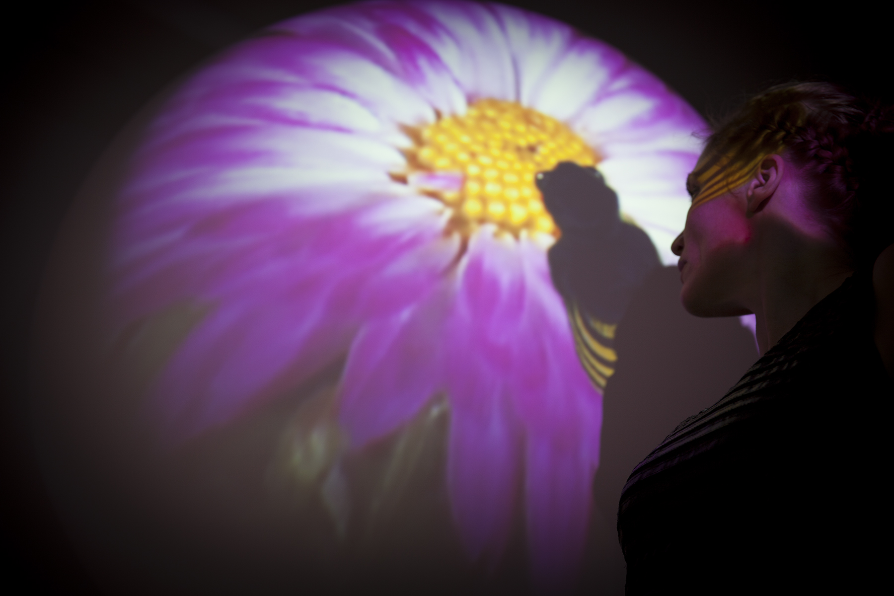 Katja Loher's Hive Mind Interview Magazine