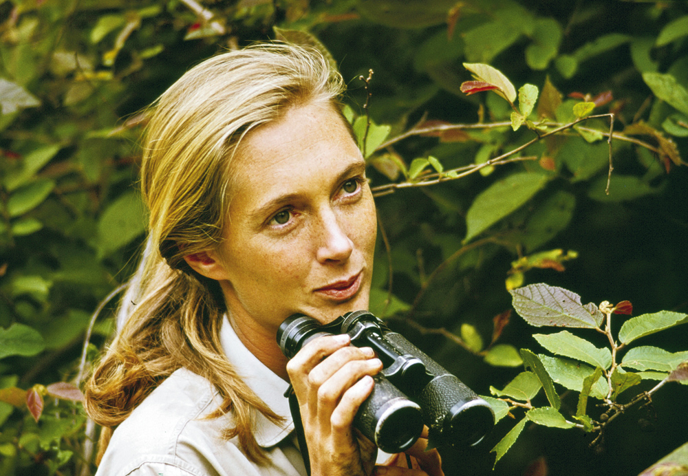 jane goodall interview magazine