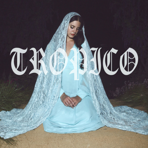 nfr lana del rey album cover nfr lana del rey album cover