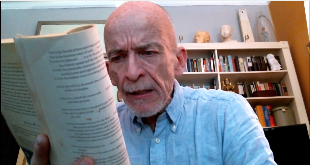 Calm In A Crisis Mark Doty Reads From Walt Whitman s Song Of Myself 