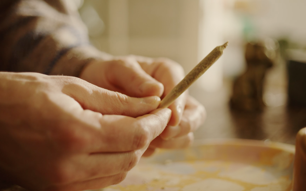 Seth Rogen Shows Us How to Roll the Perfect Joint