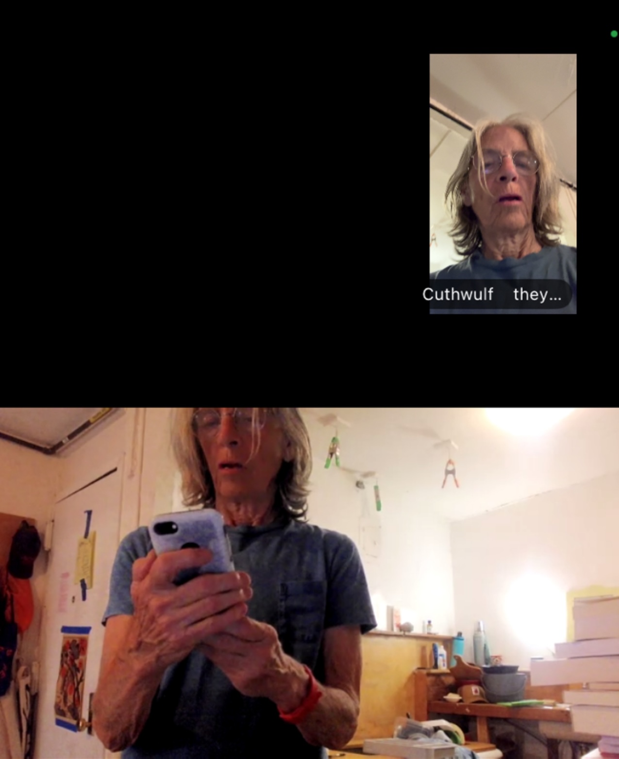 Eileen Myles