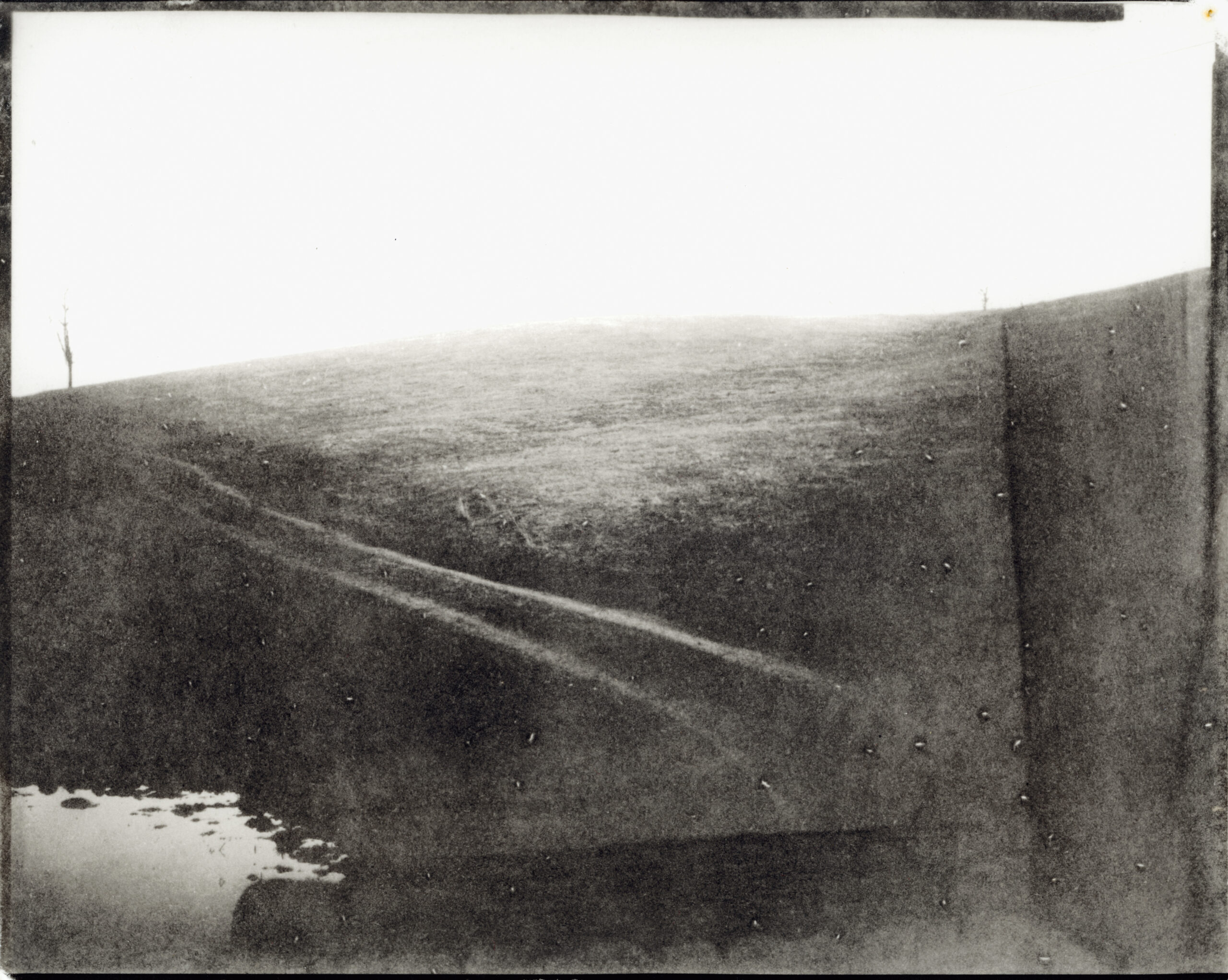 Sally Mann