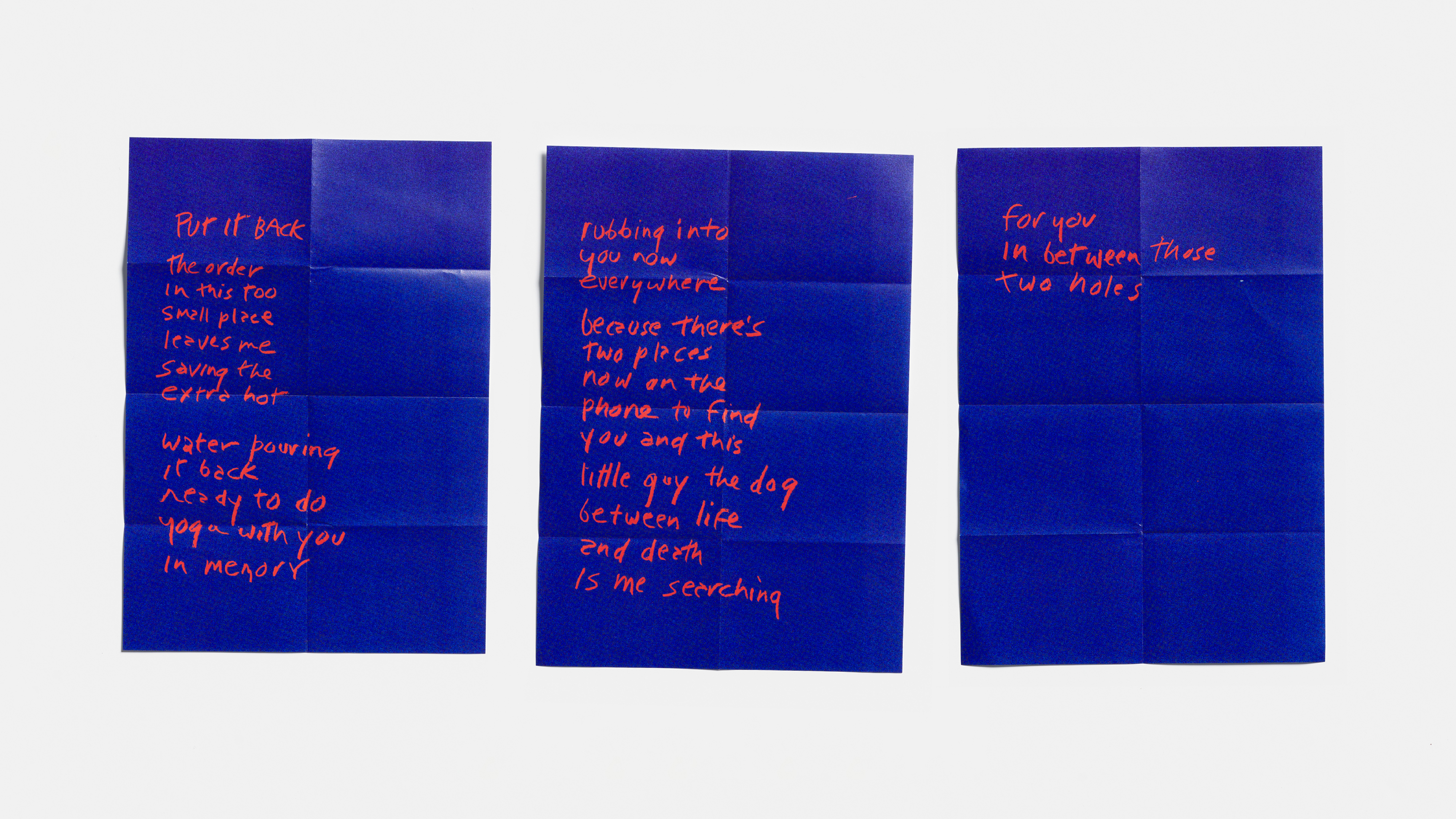Eileen Myles