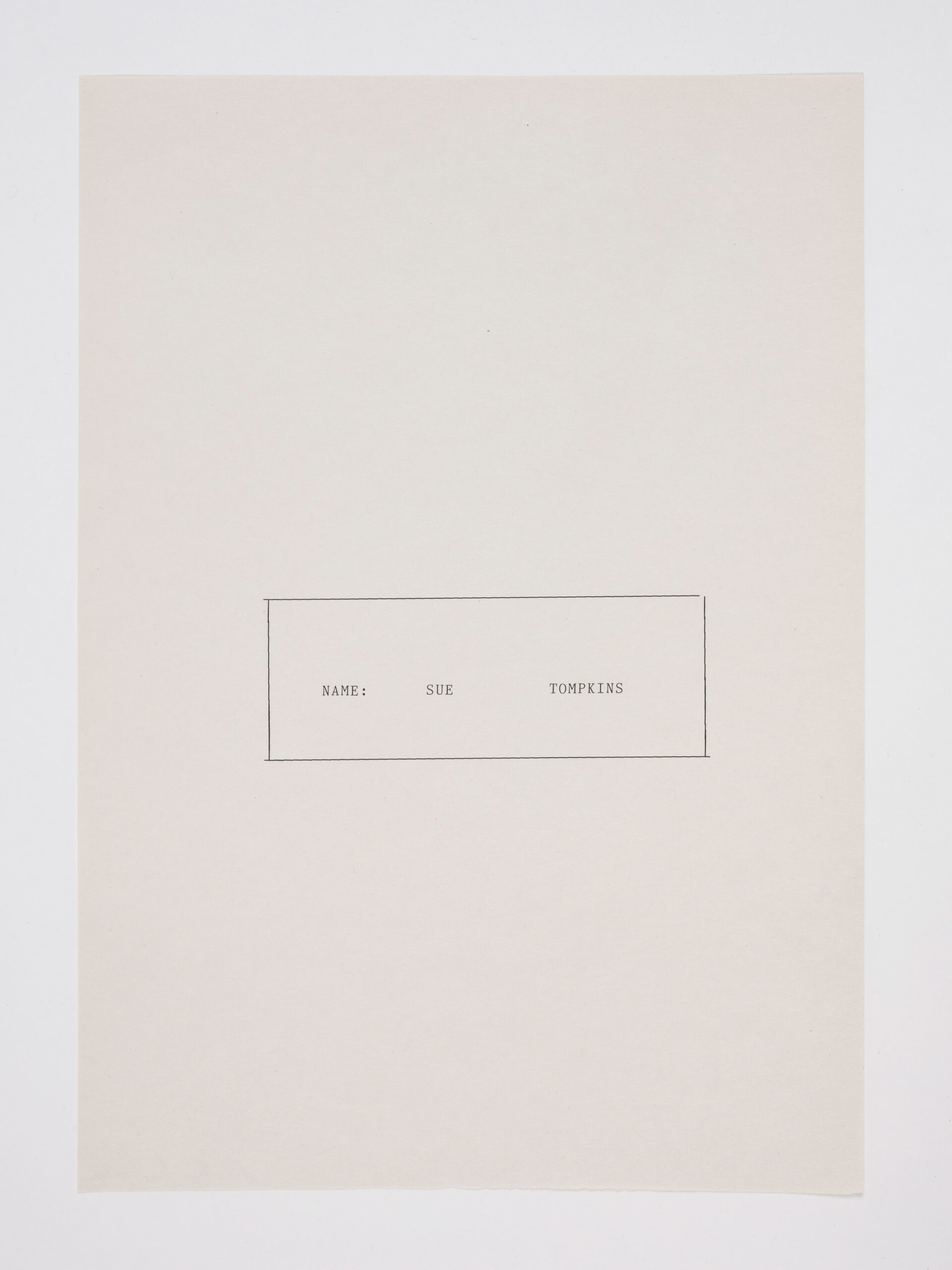 NAME: SUE TOMPKINS (2014) by Sue Tompkins. Typewritten text on newsprint.