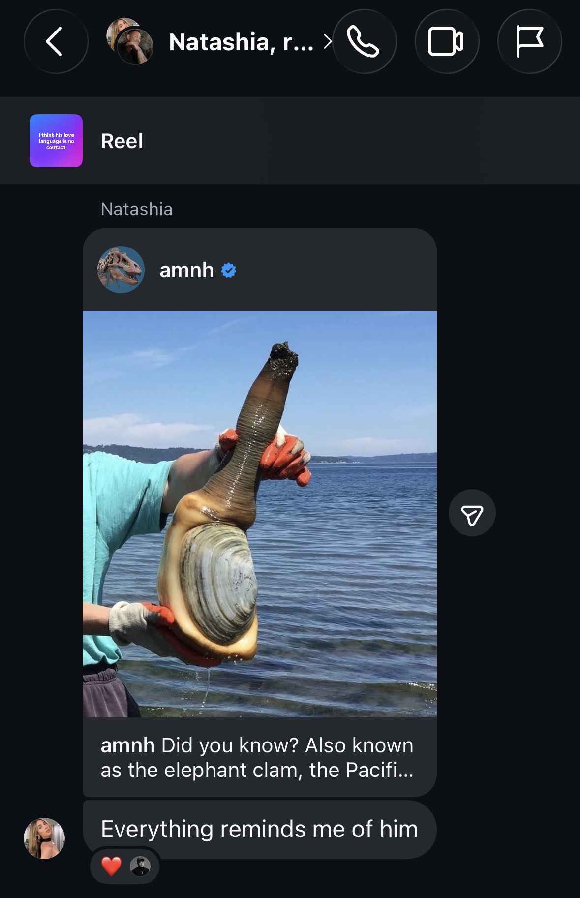 Screenshot of Eddie Huang's wife, Natashia, sending him a DM.